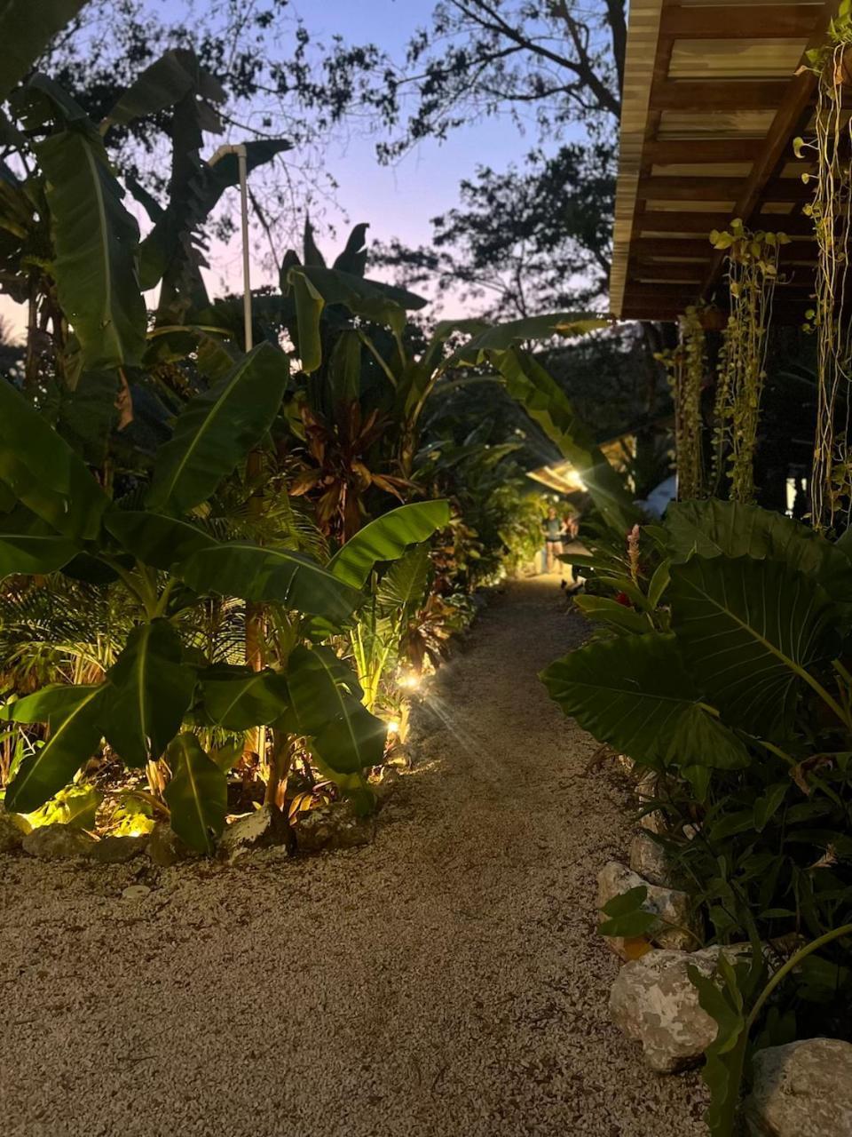 Albergue Dream Surf House Santa Teresa Playa Hermosa Cobano Exterior foto