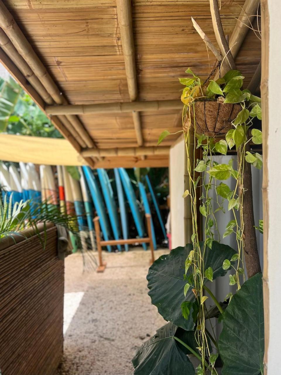 Albergue Dream Surf House Santa Teresa Playa Hermosa Cobano Exterior foto