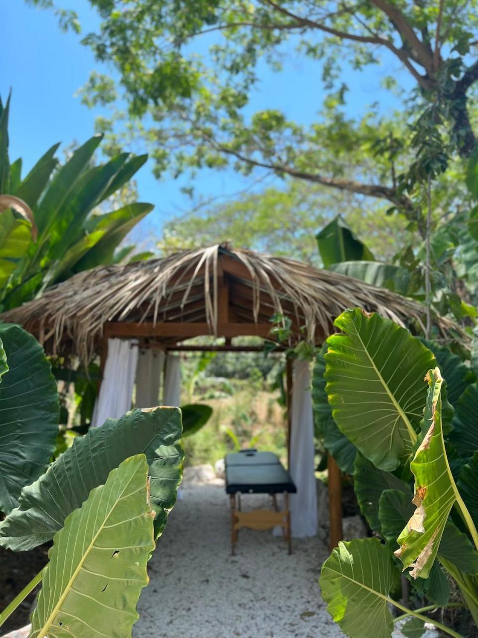 Albergue Dream Surf House Santa Teresa Playa Hermosa Cobano Exterior foto