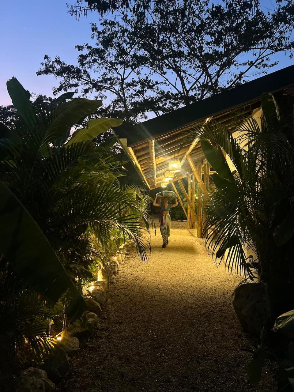 Albergue Dream Surf House Santa Teresa Playa Hermosa Cobano Exterior foto