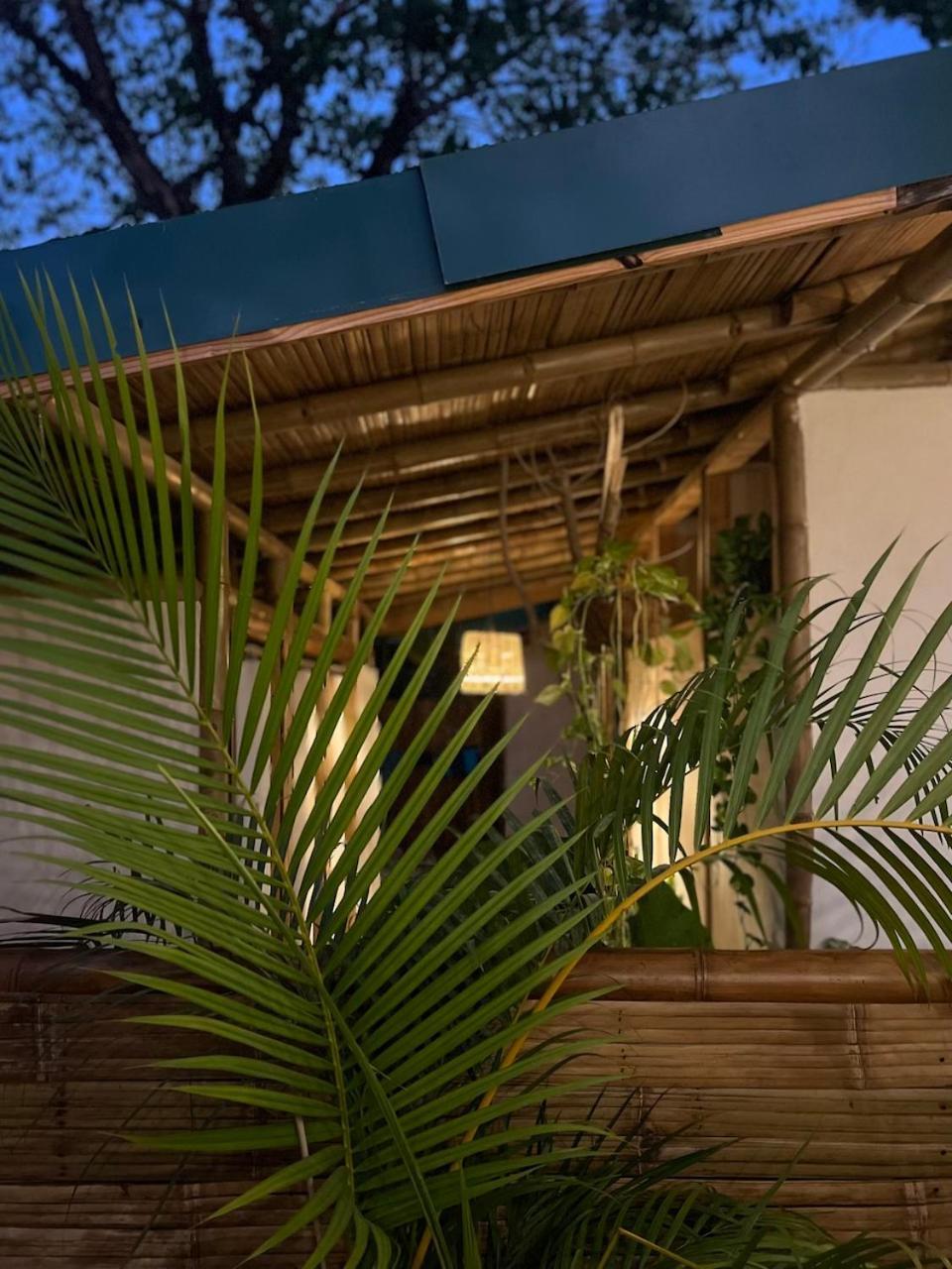 Albergue Dream Surf House Santa Teresa Playa Hermosa Cobano Exterior foto
