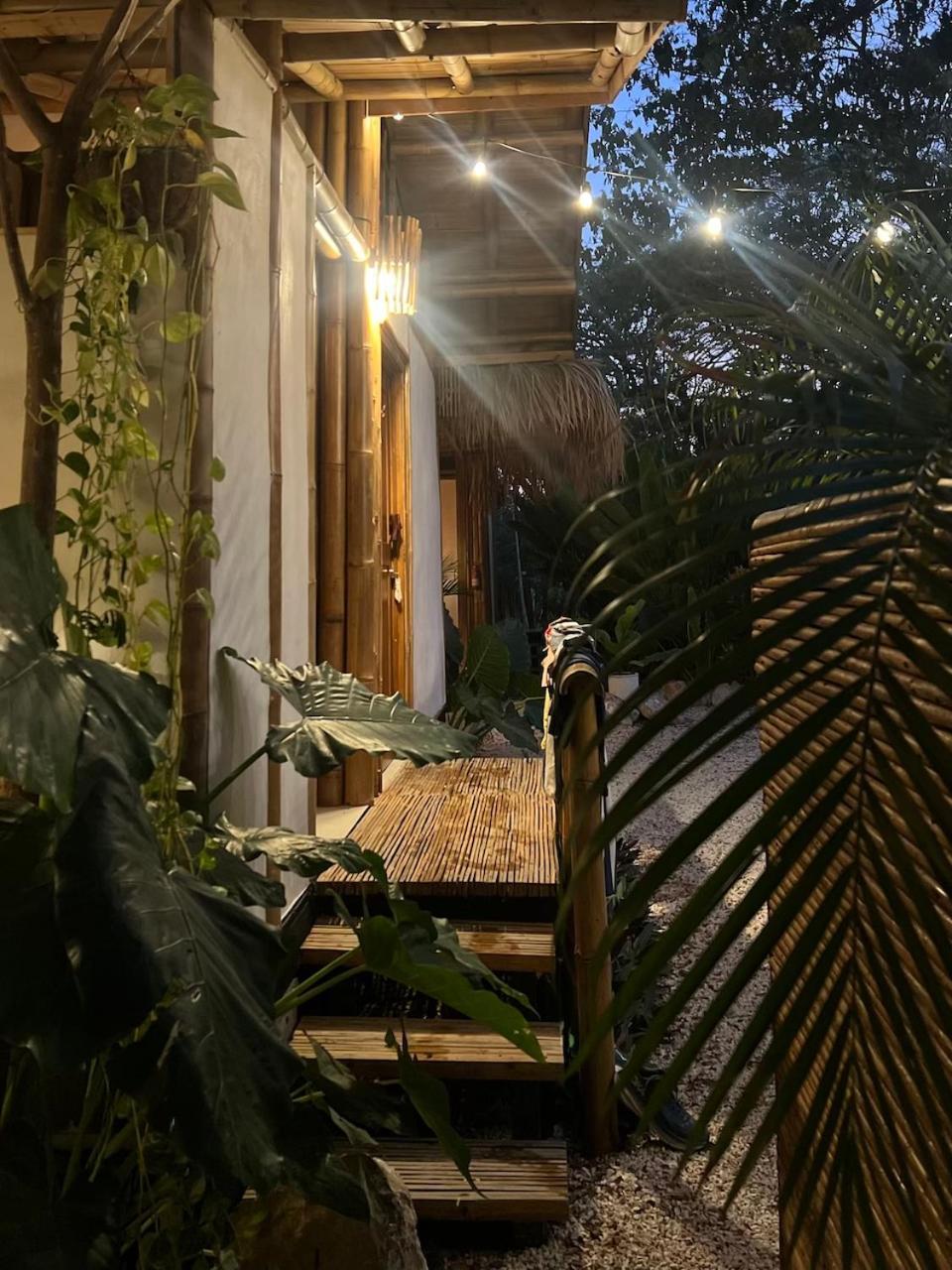 Albergue Dream Surf House Santa Teresa Playa Hermosa Cobano Exterior foto