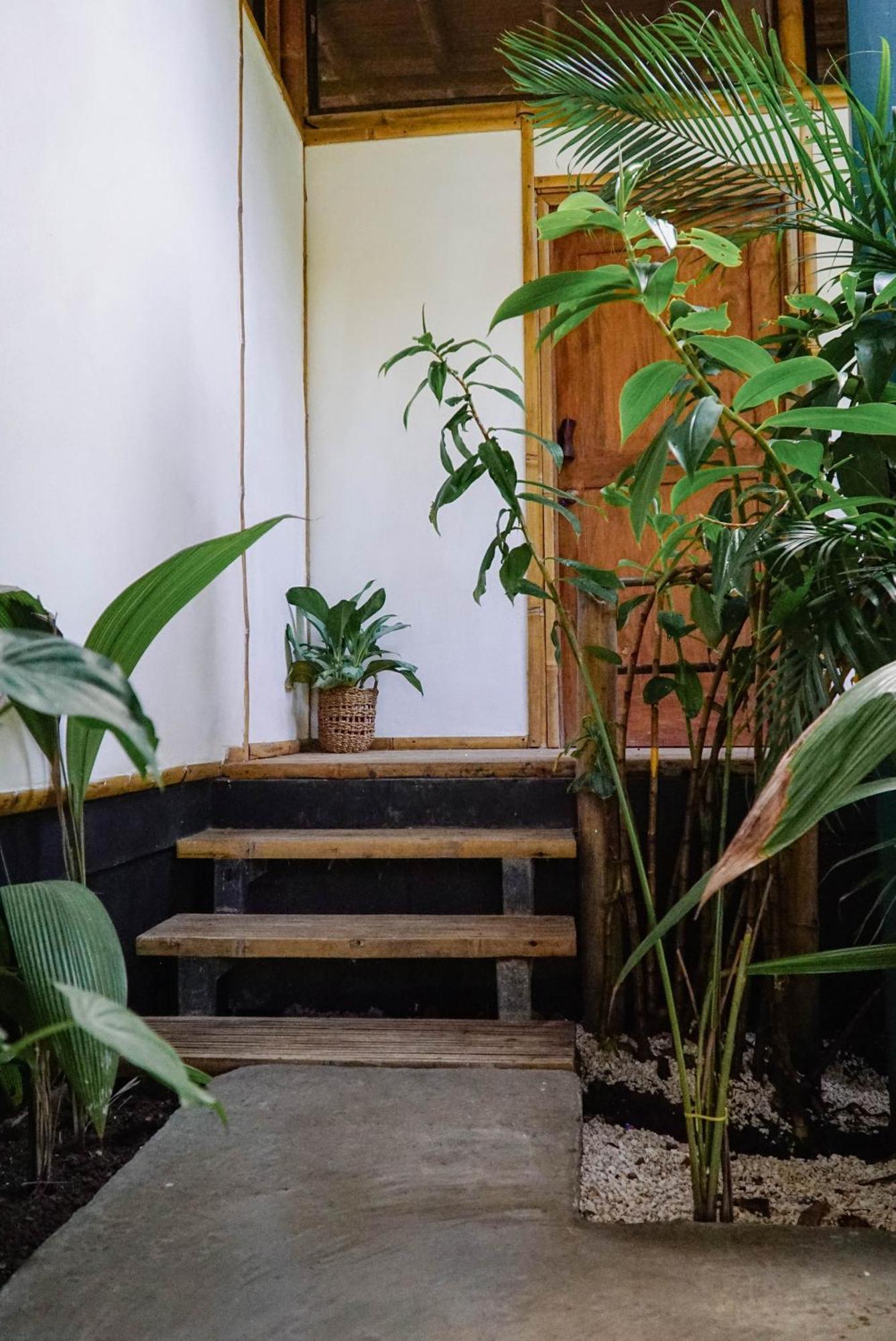 Albergue Dream Surf House Santa Teresa Playa Hermosa Cobano Exterior foto
