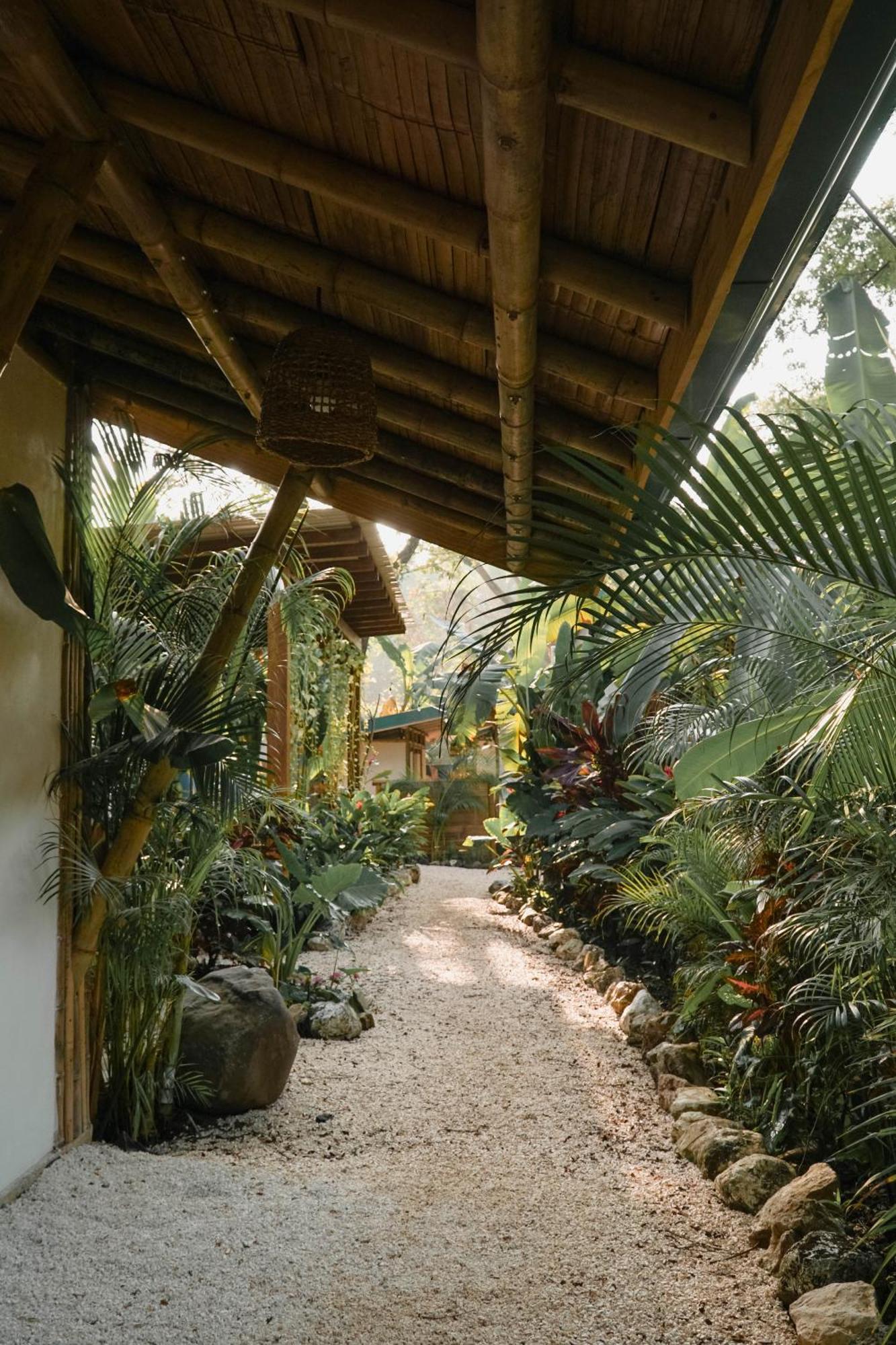 Albergue Dream Surf House Santa Teresa Playa Hermosa Cobano Exterior foto