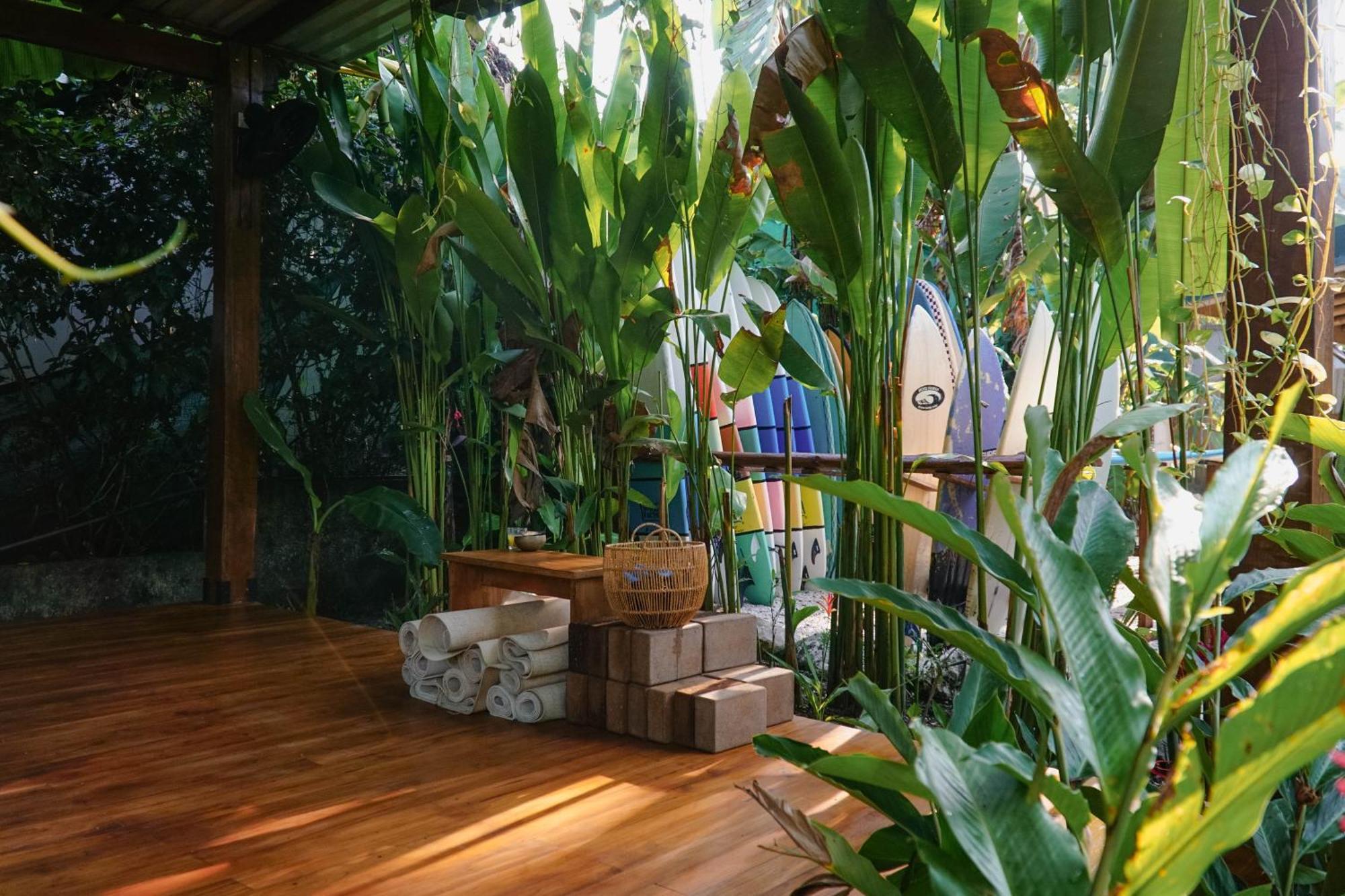 Albergue Dream Surf House Santa Teresa Playa Hermosa Cobano Exterior foto