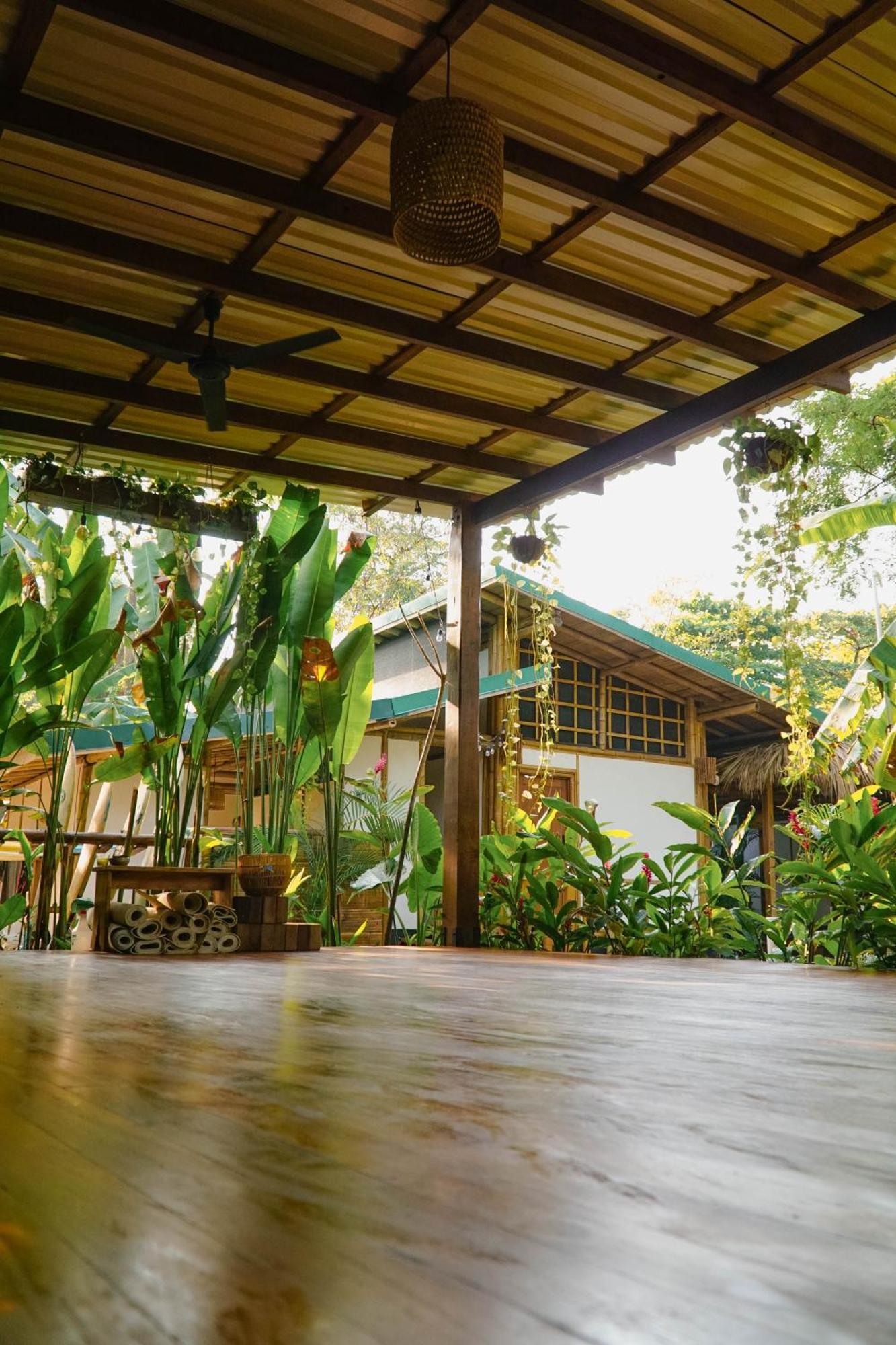 Albergue Dream Surf House Santa Teresa Playa Hermosa Cobano Exterior foto