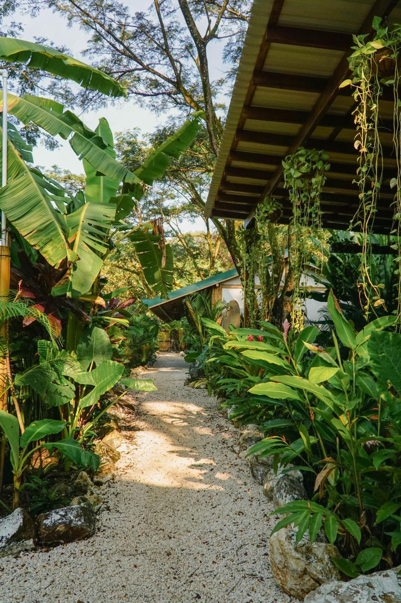 Albergue Dream Surf House Santa Teresa Playa Hermosa Cobano Exterior foto