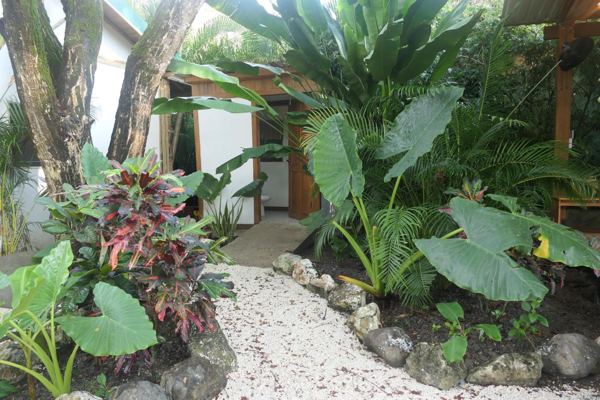 Albergue Dream Surf House Santa Teresa Playa Hermosa Cobano Exterior foto