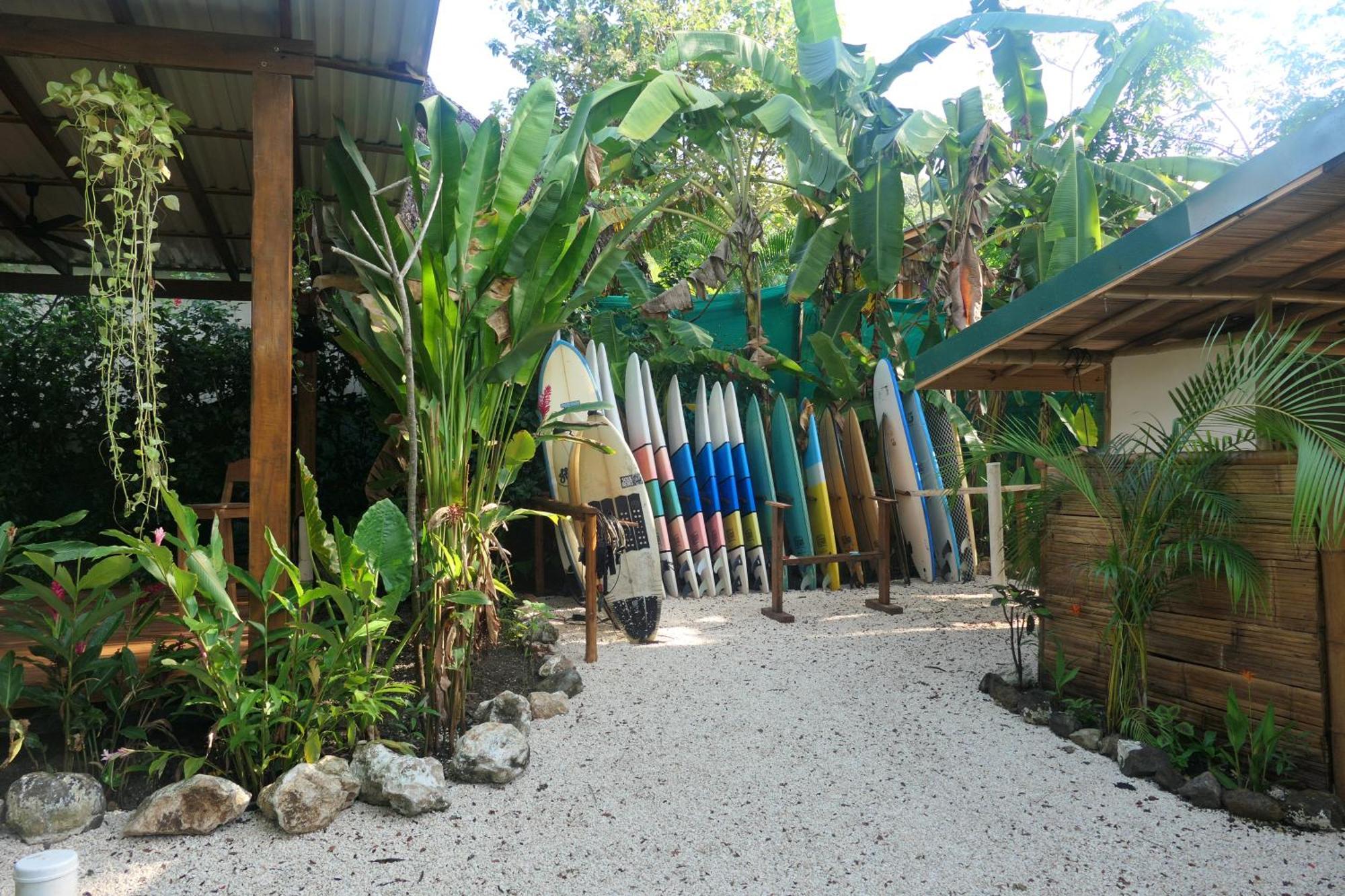 Albergue Dream Surf House Santa Teresa Playa Hermosa Cobano Exterior foto