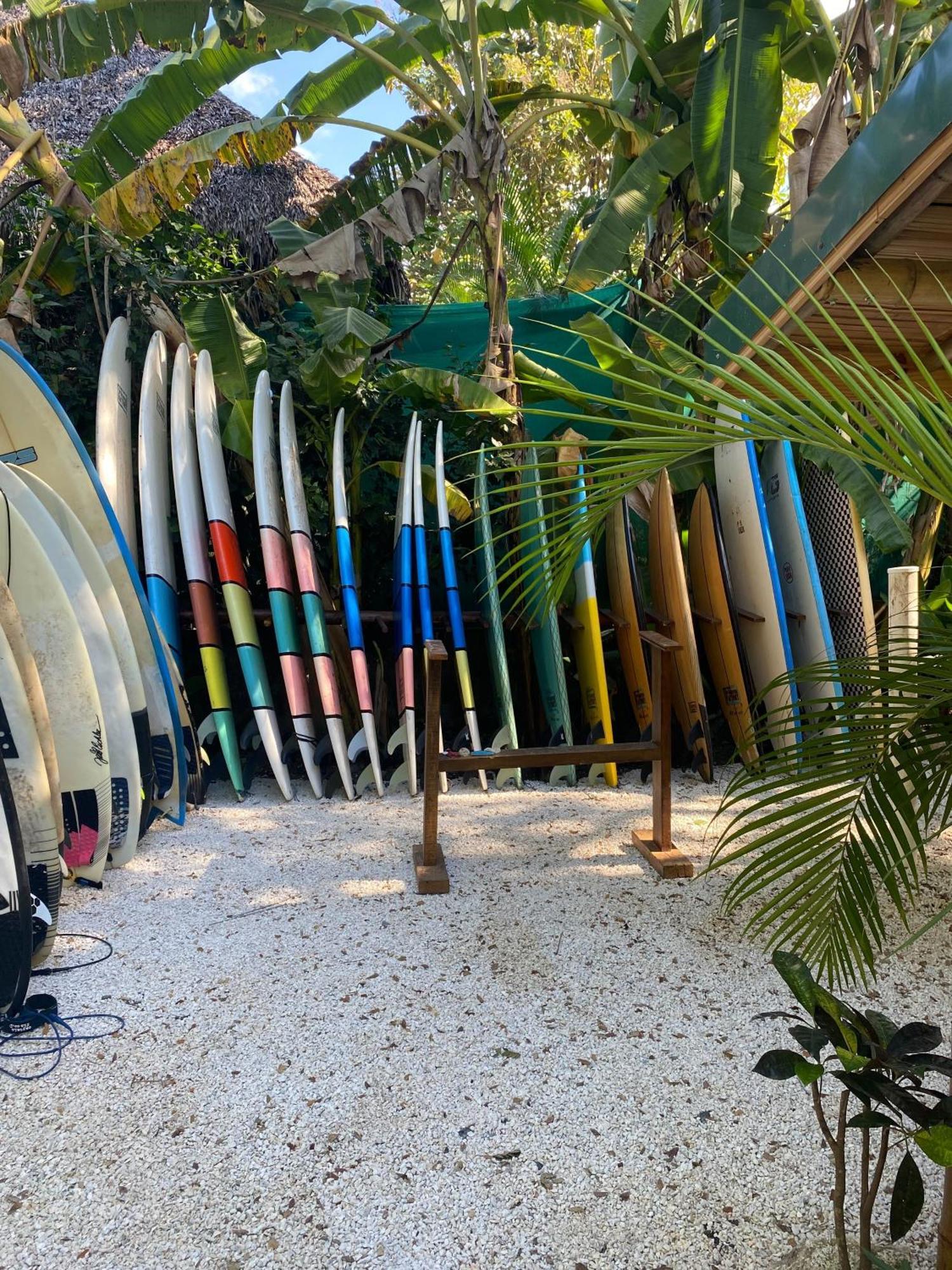 Albergue Dream Surf House Santa Teresa Playa Hermosa Cobano Exterior foto
